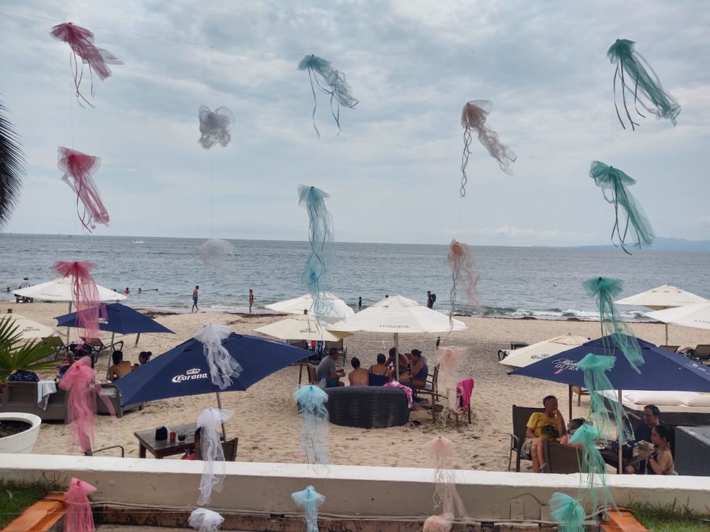 Mango's Beach Club in Puerto Vallarta, Mexico – The Puerto Vallarta Travel  Show