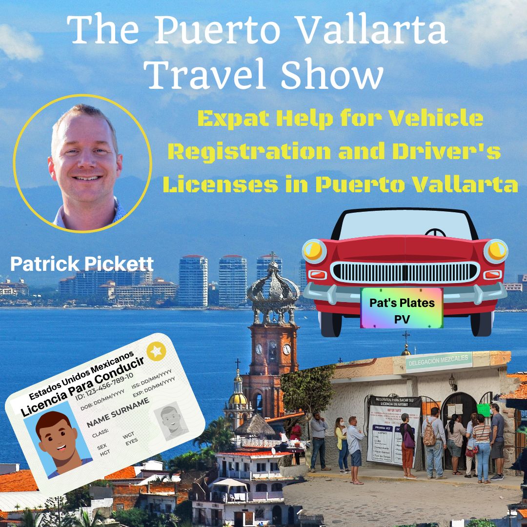 Pat’s Plates, Expat Help for Vehicle Registration and Driver’s Licenses